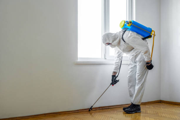 Reliable Wintersville, OH Pest control Solutions